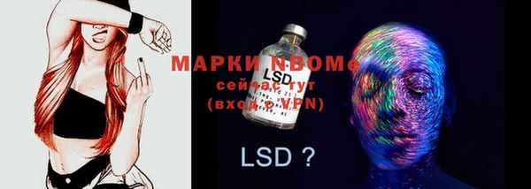 шишки Богородицк