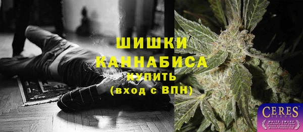 стафф Богородск