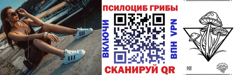 Псилоцибиновые грибы Cubensis  Купить закладки  Устюжна 